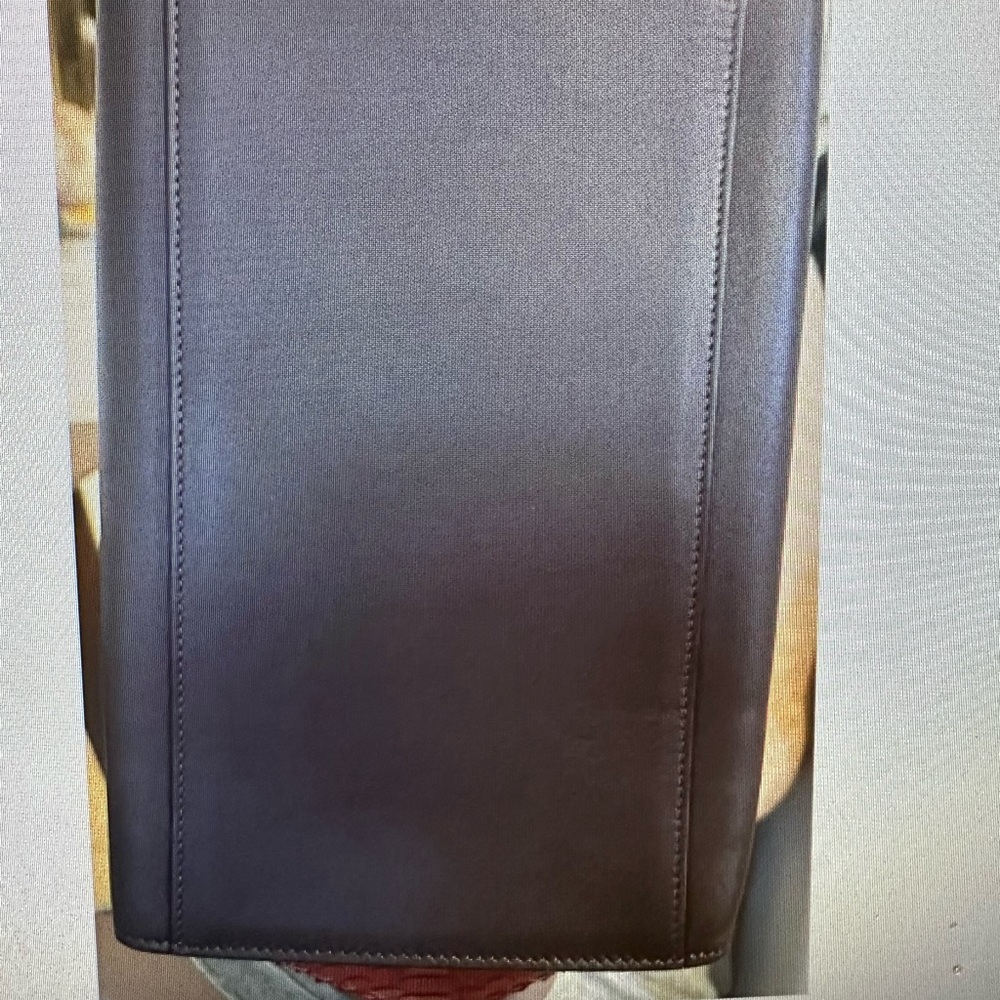 Celine Python Trapeze in Red, Burgundy, Brown, Like New - Picture 4 of 11